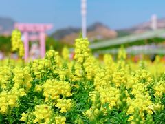 -盈香心动乐园