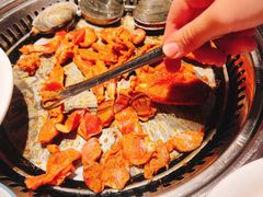 -鼎香缘海鲜自助火锅烤肉(锦辉购物广场店)