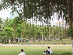 -万绿园