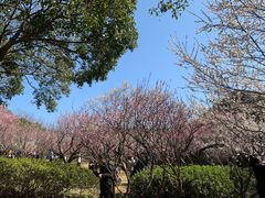 -无锡梅园公园