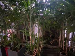 -Nectar One Cafe(勇烈路n1店)