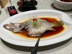 -侨美食家·40年地道粤菜(珠江新城店)