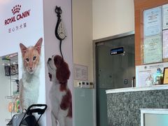 -瑞派申生动物医院·24H夜诊·国际动物医疗中心·骨外科(吴中路店)