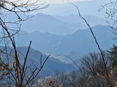 -王顺山国家森林公园