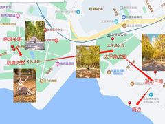 -八大关景区