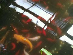 -北戴河集发农业梦想王国
