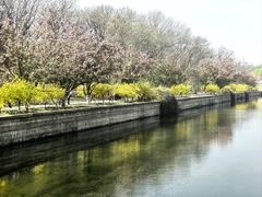 -元大都城垣遗址公园