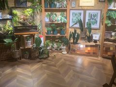 -Rabbit Cafe私房西餐甜点咖啡(栖霞路店)