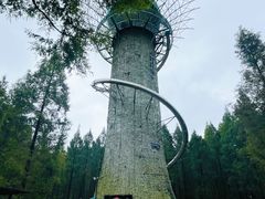 -黄海国家森林公园