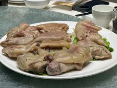 -丁老爷子苏香圆