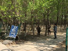 -亲兄弟真人CS团建拓展基地