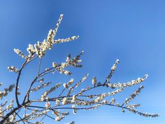 -广州市流溪河国家森林公园