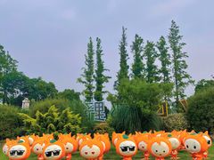 -上海长兴岛郊野公园