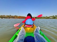 -上海海湾国家森林公园