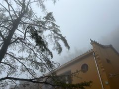 -九华山风景区