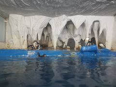 -太平洋海底世界