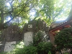 -白沙古井
