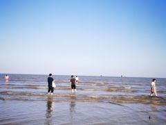 -奉贤海滩