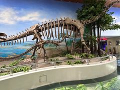 -延庆地质公园博物馆