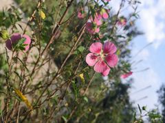 -花间酒庭院餐厅(谷山店)