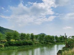 -风云岭森林公园