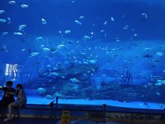 -上海海昌海洋公园-停车场