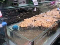 -盒马鲜生(财富中心店)