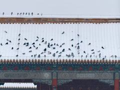 -东华门大街小区