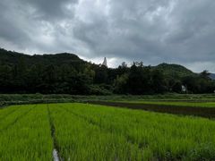 -藏龙百瀑风景区