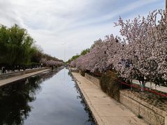 -元大都城垣遗址公园