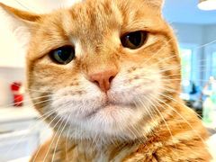 -简朴寨(湘隆时代店)