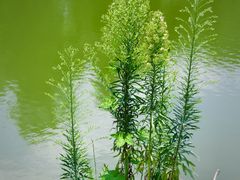 -贵州省植物园