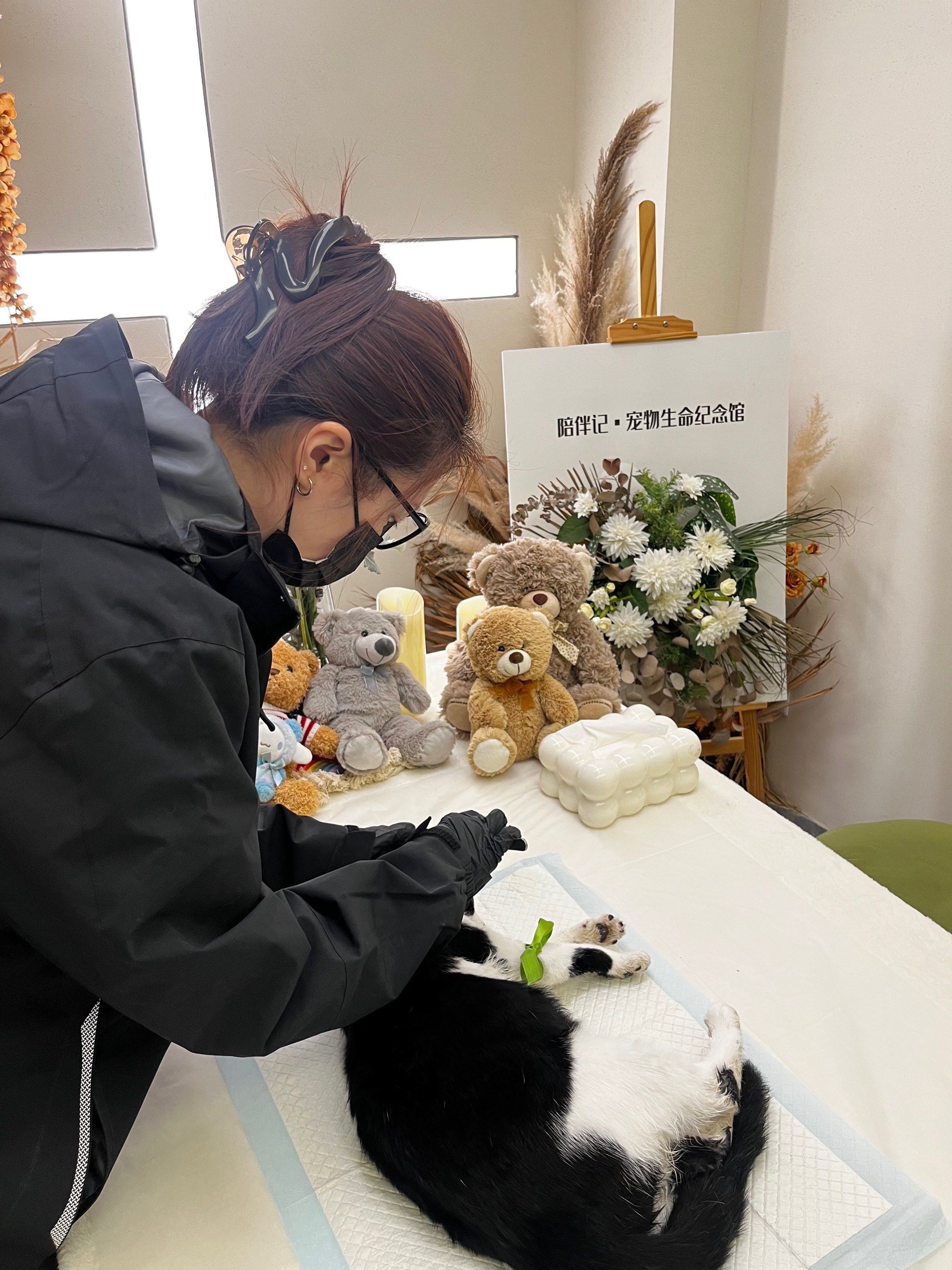 宠物超度-宠物超度步骤 宠物超度-宠物超度步骤