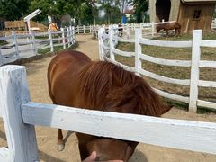 -祥源·阜阳生态乐园