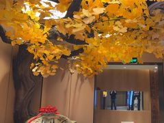 -同乐馆(阳光店)