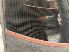 -瑞派·关忠动物医院·异宠专科·犬猫肿瘤·皮肤专科(望京店)