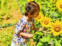 -汉长安城未央宫国家考古遗址公园