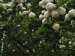 -白塘生态植物园