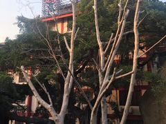 -厦门鸿山寺