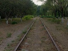 -永定河休闲森林公园