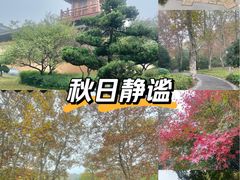 -习家池