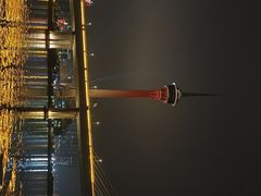 -澳门环岛游湾仔码头