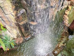 -正佳雨林生态植物园
