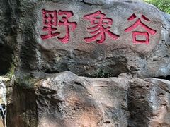 -西双版纳原始森林公园
