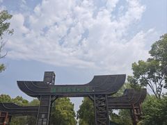 -溱湖国家湿地公园