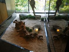 -江滨九号.中餐厅(滨江店)