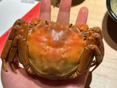 -匠和风精致料理(春熙路群光广场店)