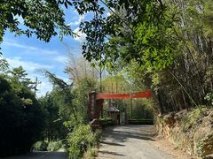 -铁山坪森林公园