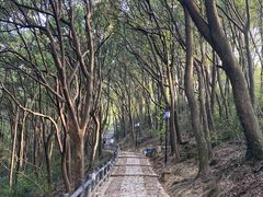 -苏州上方山国家森林公园
