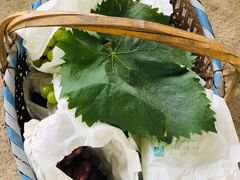 -马陆小张葡萄园农家乐